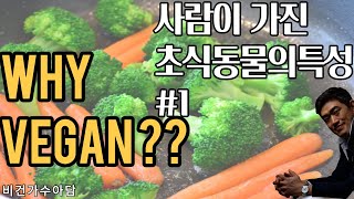 사람은 육식동물일까? 초식동물일까? 사람이 초식동물인 이유 #1__비건가수 아담의 채식이야기