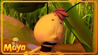 Willy loses his memory - Part 3 - Maya the Bee