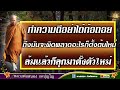 🔴ฟังธรรมก่อนนอน i หลวงสนอง กตปุญโญ 05 10 66