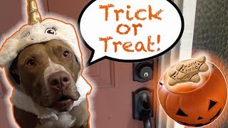 Penny goes Trick or Treating! | Rob and Penny