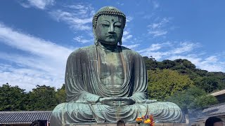 Kamakura Daibutsu (Great Buddha)  #travel #onedaytrip #kamakura #daibutsu