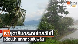 พายุตาลิมกระทบไทยวันนี้ เตือนน้ำหลากท่วมฉับพลัน l TNN News ข่าวเช้า l 16-07-2023