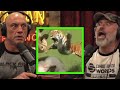 jre x Eddie bravo talk wildest animal attack caught on camera.