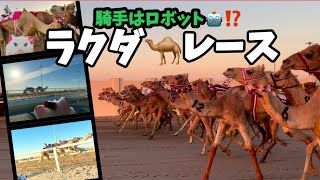 騎手はロボット🤖⁉️ラクダ🐪レース観戦に行ってみた‼️