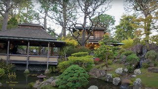 Japanese Tea Garden San Francisco 🏯 Hidden Gem in Golden Gate Park! 🌺