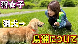 【狩女子】この子可愛すぎ！猟犬が欲しくなる！ベテラン猟師さんに鳥猟について聞いてきた #2