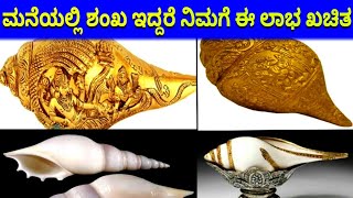 ಮನೆಯಲ್ಲಿ ಶಂಖ ಇದ್ದರೆ ನಿಮಗೆ ಈ ಲಾಭ ಖಚಿತ