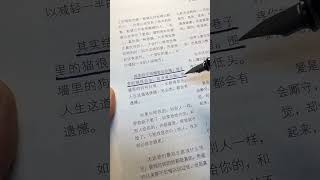 其实结不结婚都会后悔。巷子里的猫很自由，却没有归宿。围墙里的狗有归宿，一生都得低头。人生这道选择题，怎么选，都会有遗憾