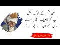 Maulana Jalaluddin Rumi Quotes in Urdu | Rumi Quotes | Molana Rumi K Aqwal | Daily Aqwal