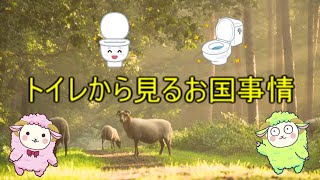 トイレから見るお国事情・世界一優秀なトイレットペーパー大国日本