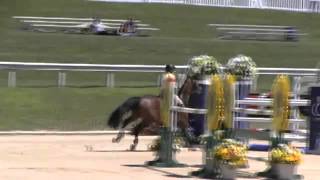 Video of CASANOVA P.B. ridden by AMANDA L. DERBYSHIRE from ShowNet!