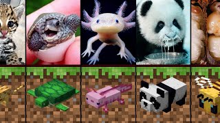 実際の生活の中でMinecraftの赤ちゃん動物「比較」