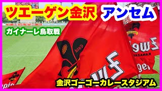 ツエーゲン金沢 チャント【2024】ガイナーレ鳥取戦 金沢ゴーゴーカレースタジアム 2024.5.6