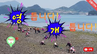 [적금도3]-영을 틉니다!, 개를 틉니다!