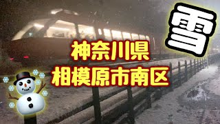 2022年 雪 相模原市南区 ウォーキング