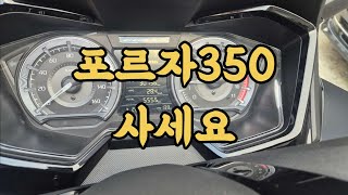 . 81 혼다 포르자350 사세요