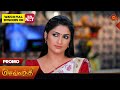 Sevvanthi - Promo | 02 Dec 2024 | Tamil Serial | Sun TV