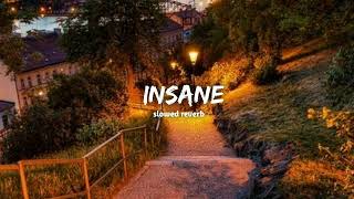 Insane ( slowed+ reverb) | Ap dhillon| lofi circle