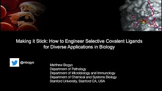 Broad-MIT Seminars in Chemical Biology: Matt Bogyo