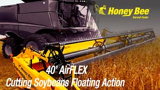 40' AirFLEX  Header Demo | Soybeans | Manitoba | Floating Action