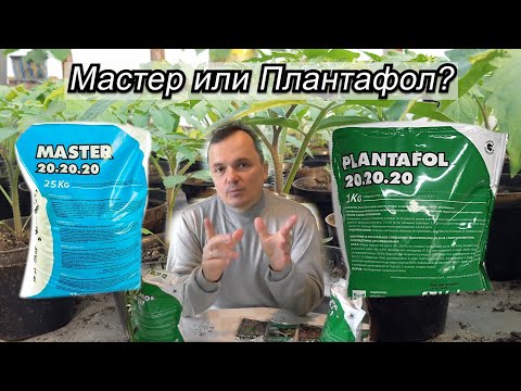 Плантофол или Мастер — что лучше? Когда какое удобрение применять.