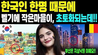 해외감동사연 한국인 한 명의 행동에 벨기에 작은 마을이 발칵 뒤집힌 이유