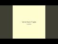 Velvet Neon Fragile