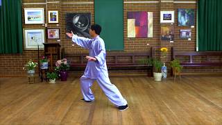 Tai Chi 40 Form Step by Step Instructions (Paragraph 2)