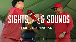 Sights \u0026 Sounds: Spring Training 2025 | St. Louis Cardinals