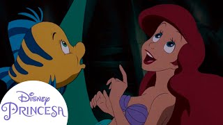 Os Melhores Momentos de Ariel e Seus Amigos | Disney Princesa