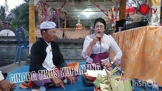 Ginada Tikus Kupanting