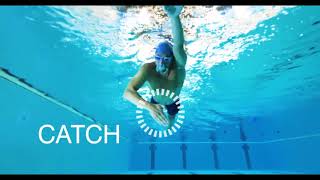 Zoggs Swim Tips - Freestyle - Presented By ProSwimwear