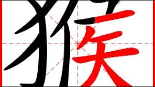 【一笔一划写中文】怎样写猴字，猴字怎么写，How to write chinese