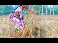 এ মৌসুমের সেরা ধান রুমান vs মামা a mosumer shera dan