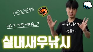 🔥 대만의 비밀 놀이?! 현지인들의 숨겨진 장소에서 즐기는 새우낚시 체험! | 당대가 \u0026 홍봉투어