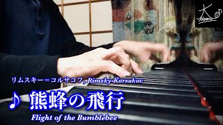 【手元動画】リムスキー＝コルサコフ：熊蜂の飛行（Rimsky-Korsakov: Flight of the Bumblebee）