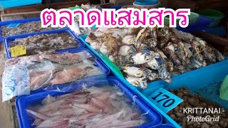 เที่ยวถิ่นทหารเรือ@สัตหีบ#:ตลาดอาหารทะเลแสมสาร