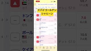 【ドバイゴールデンシャヒーン】最終結論！#ドバイゴールデンシャヒーン#ドバイワールドカップ