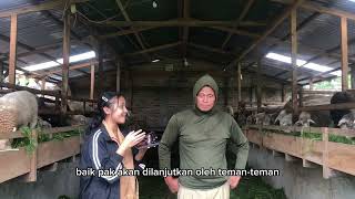 Dokumentasi Laporan Observasi Peternakan Domba \u0026 Kambing