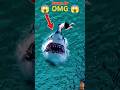 😱 #shark #ocean #whale #travel #funny #viralvideo #trending #amazing #unrealplaces #comedyfilms