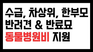 수급자 혜택, 반려견, 반려묘 병원비 지원 서울시 혜택