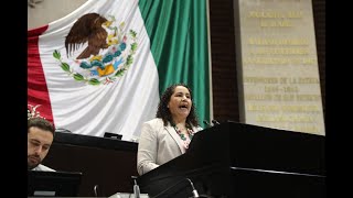 Dip. Leticia Barrera Maldonado (PRI) / Dictamen conservación y protección de maíces nativos