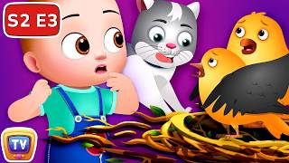 The New Little Forest Ranger - Storytime Adventures Season 2 Ep. 3 - ChuChu TV