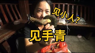 朋友们云南吃菌子的季节来啦！吃见手青真的会见到小人吗？#云南菌子 #骑行  #一人两猫骑行云南