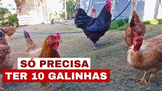 QUANTO DINHEIRO DÁ PRÁ GANHAR COM 10 GALINHAS, QUAL É O LUCRO?