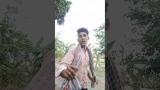 দে হো কাহো হাইপো কি না হো #comedy #funny #bhojpuri #ইউটিউব শট#viral #video