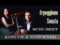 LIVE: Franz Schubert | Sonata Arpeggione | Benedict Kloeckner | Yu Kosuge