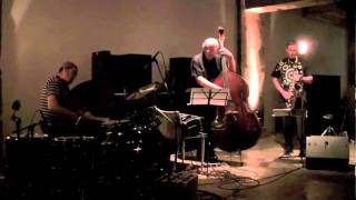 Arild Andersen Trio plays \