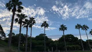 【自然音】愛媛県今治市大角海浜公園カレイキャンプ場の夕暮れどきの空と波の音　癒し　ストレス解消