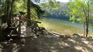 Titisee-Feldsee-Feldberg-Schluchsee (MTB-Tour)